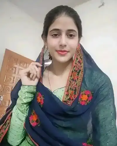 Call Girl Vishnu Nagar